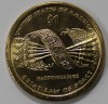 1 доллар  2010г.  США.  Р . Сакагавея.  Стрелы, из ролла. - Мир монет