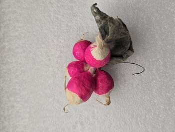 Ватная елочная игрушка СССР Пучок редиски. - Мир монет