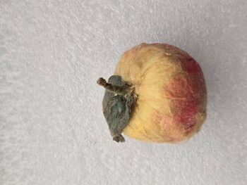 Ватная елочная игрушка СССР Яблоко. - Мир монет