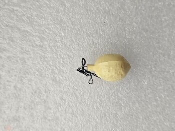 Елочная игрушка для мини-елки СССР, стекло. Лимон . - Мир монет